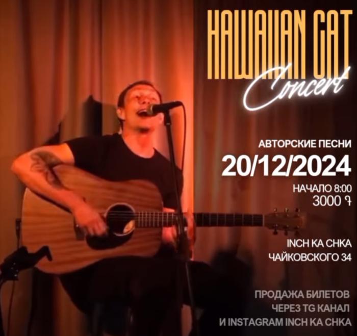 Кот Гавайский: Акустический квартирник 🎶