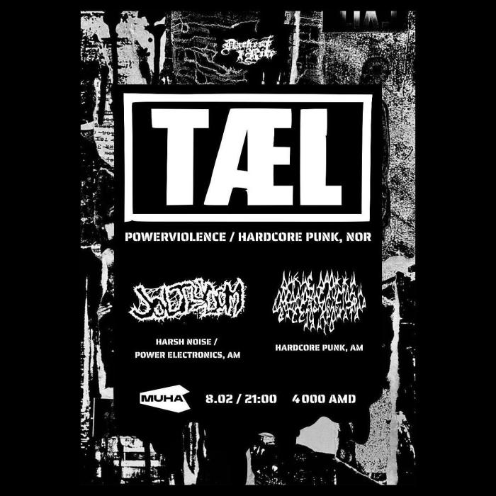 T​ÆL​ | Joltydom | Дикие Дрожжи